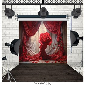 تصویر بکدراپ عکاسی۸801 