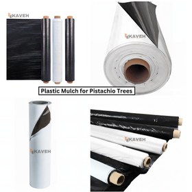 تصویر مالچ پلاستیکی درخت پسته Pistachio Tree Plastic Mulch