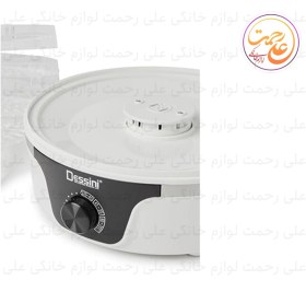 تصویر میوه خشک کن دسینی مدل 1000 