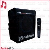 تصویر اکو همراه تکنو سوند مدل PTR4W با میکروفن بی سیم 