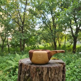 تصویر مدل روناک / ronak 