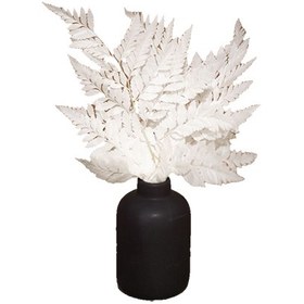 تصویر برگ خشک سرخس 