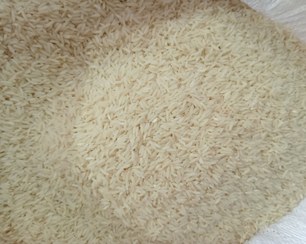 تصویر برنج هاشمی خوش‌عطر و تازه ۱۴۰۴ | ده کیلو 