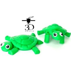 تصویر لاک پشت جیبی 