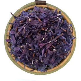 تصویر گل گاوزبان قزوینی 