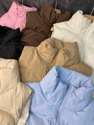 تصویر پافر نگینی 34818 