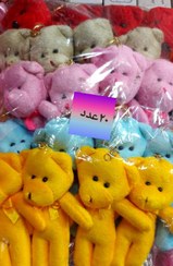 تصویر خرس رنگی کوچک 