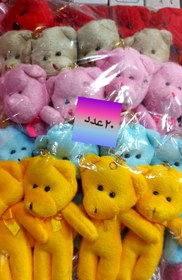 تصویر خرس رنگی کوچک 