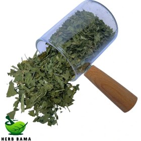 تصویر جعفری خشک 