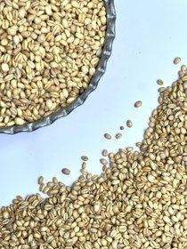 تصویر گندم سنتی برشته 