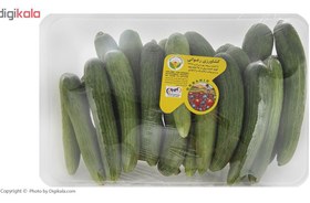 تصویر خیار ارگانیک رضوانی – 1 کیلوگرم 