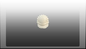 تصویر سرپنجه پرچین سفید 