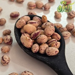 تصویر لوبیا چیتی بومی 