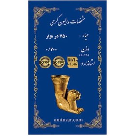 تصویر سکه طلا ۱۸ عیار امین زر 