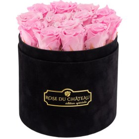 تصویر Pale Pink Eternal Roses in Black Flocked Box | کد: ZNB-1IWA 