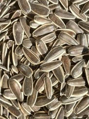 تصویر تخمه آفتابگردان اس ۴۰۰ میدان بار خوی شور ۳۸۵ هزار تومان و خام ۳۷۵ هزارتومان قیمت به روز هست لطفا قبل از سفارش قیمت را استعلام کنید - ۱۰۰ گرم 