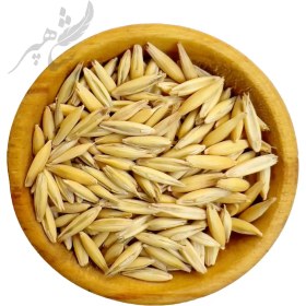 تصویر جو دو سر با پوست 