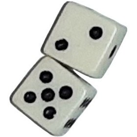 تصویر تاس استخوان جفتی 