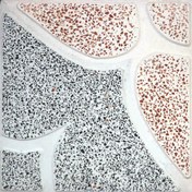 تصویر موزاییک پرسی حیاطی گل مریم سایز ۴۰*۴۰ دورنگ 