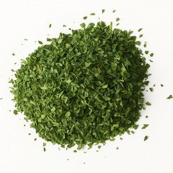 تصویر جعفری خشک 