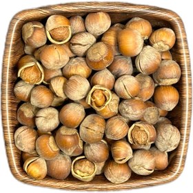 تصویر فندق پوستی خام / یک کیلو / 