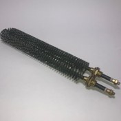 تصویر المنت فین دار ایرانی به طول 30 سانتیمتر 