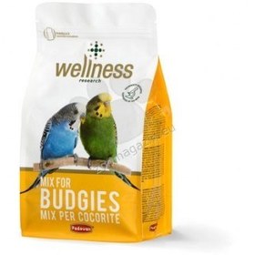 تصویر غذای سوپرپریمیوم مرغ عشق Weliness Premium Lovebird Food