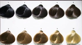 تصویر رنگ مو الیو سری طبیعی Olive حجم 100 میلی لیتر - 2 قهوه ای خیلی تیره 