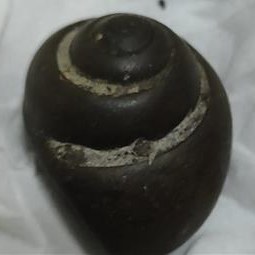 تصویر عرج سنگی بزرگ و اصلی 