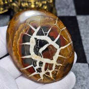 تصویر نگین کلکسیونی سنگ طبیعی سپتارین معدنی مراکش کد 34525 