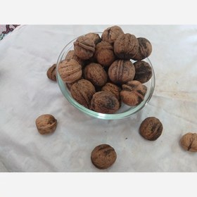 تصویر گردوی محلی تویسرکان 