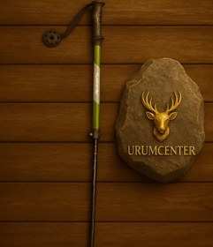 تصویر عصای کوهنوردی Trekking 