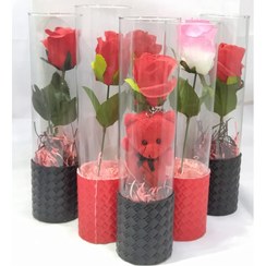 تصویر گل رز شیشه ای استوانه ای و خرس ولنتاین | خرید ست گل رز و خرس قرمز ولنتاین داخل شیشه استوانه ای زیبا 