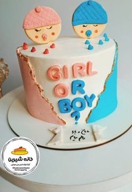 تصویر کیک تعیین جنسیت مدل ۲ 