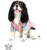 تصویر هودی چند رنگ - صورتی-آبی / S Hoodie for dogs and cats