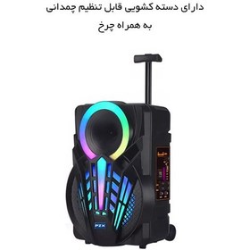 تصویر اسپیکر بلوتوثی چمدانی به همراه میکروفون - برند pzx مدل NDR-P08 