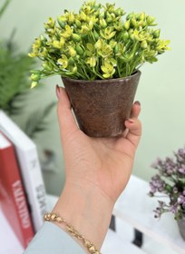 تصویر گل و گلدان فانتزی 