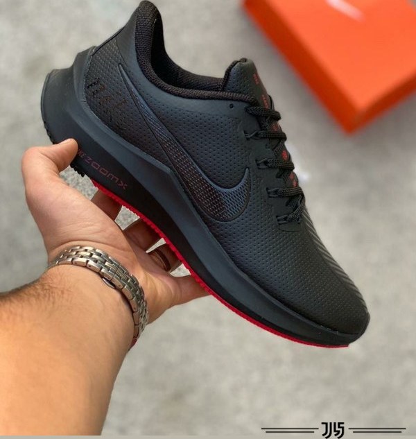 Nike zoomx 2025 pegasus price