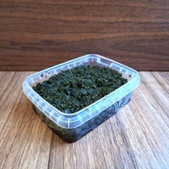 تصویر سبزی چوچاق خرد شده 200 گرم 