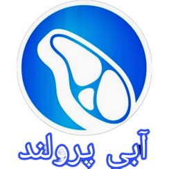 تصویر شنیسل سینه مرغ سوپر اسپایسی با پودر سوخاری 