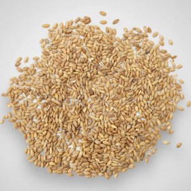 تصویر جو پوست کنده هانا 