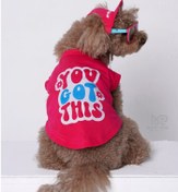 تصویر تاپ سگ و گربه مدل پت کپ همراه کلاه 