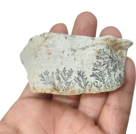 تصویر سنگ شجر پیرولوزیت فوق العاده زیبا و معدنی (2عدد) 