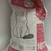 تصویر خاک گربه معمولی 