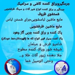 تصویر شوینده همه کاره بودیت وزن ۸۰۰ گرم 