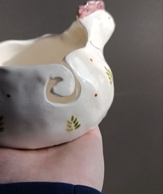 تصویر جا کاموایی مرغ 