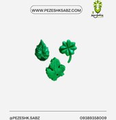 تصویر گیره پتوس 