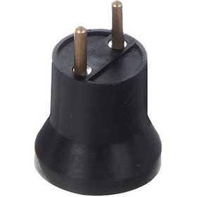 تصویر سرپیچ دو شاخ دار معمولی 