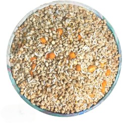 تصویر آجیل سبک (برنجک مخلوط) - 1 کیلو 