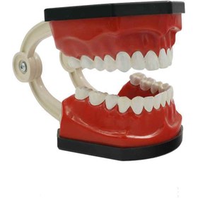 تصویر مولاژ دندان3برابر 